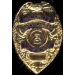 SECURITY ENFORCEMENT OFFICER BADGE PIN